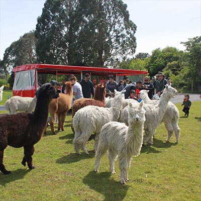 Heritage Farm Rotorua